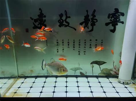 魚可以養在房間嗎|【房間可以養魚嗎】房間可以養魚嗎？風水教你避開5禁忌，財運。